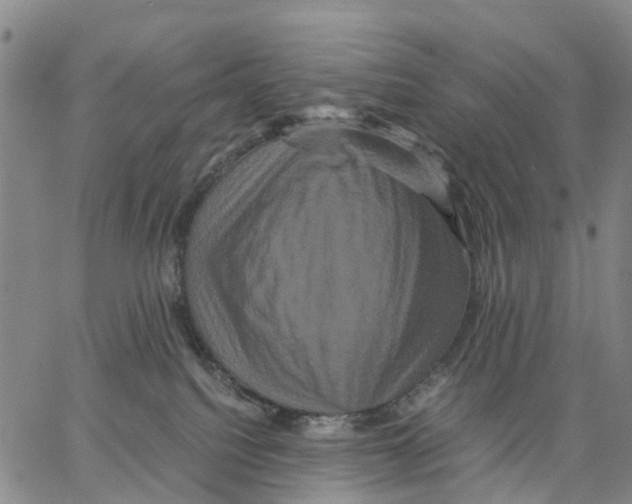 X0000062830088200602101522