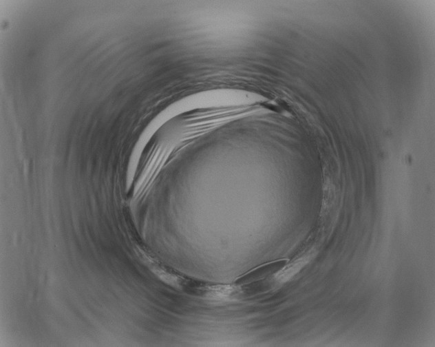 X0000062830096200602101522
