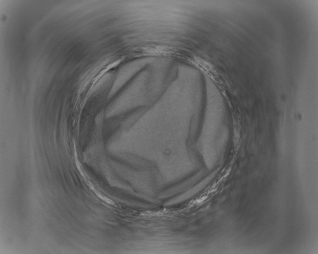 X0000062830097200602101522
