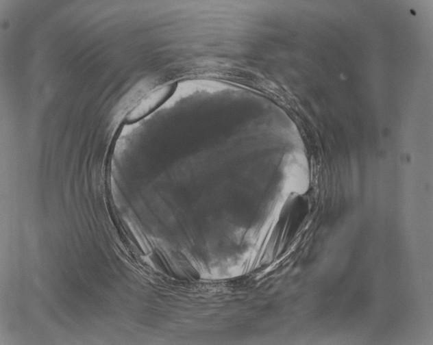 X0000062830099200602101522