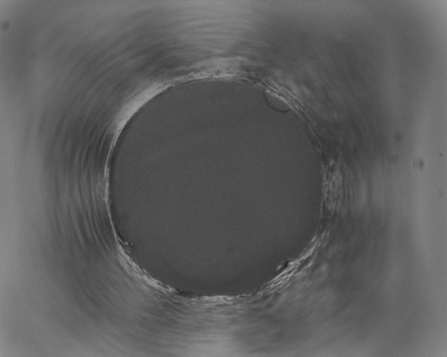 X0000062830100200602101522