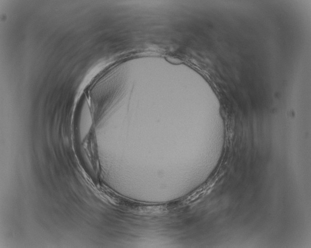 X0000062830102200602101522