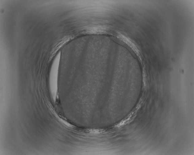 X0000062830105200602101522