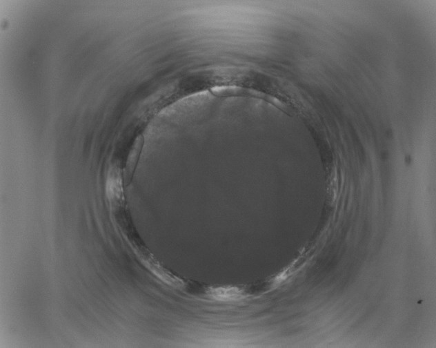 X0000062830137200602101521