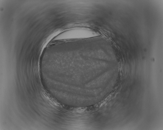X0000062830148200602101520