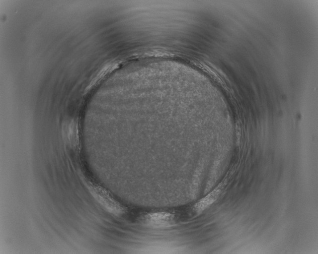 X0000062830158200602101520