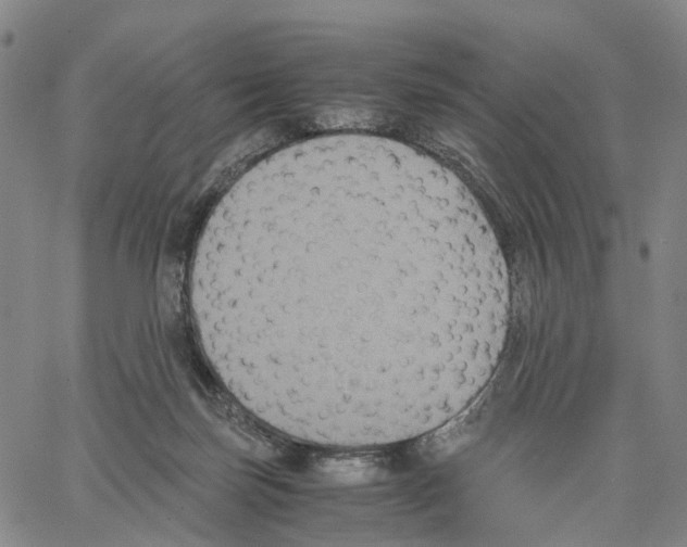X0000062830171200602101521