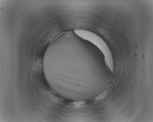 X0000062830172200602101521