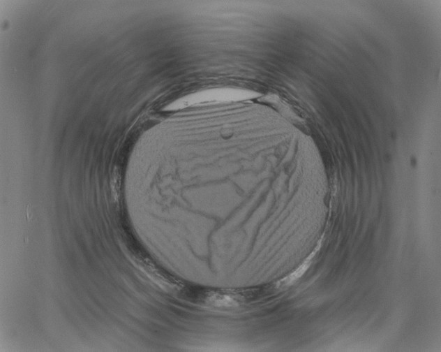 X0000062830174200602101521