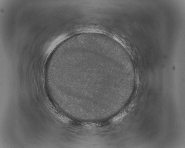 X0000062830199200602101520