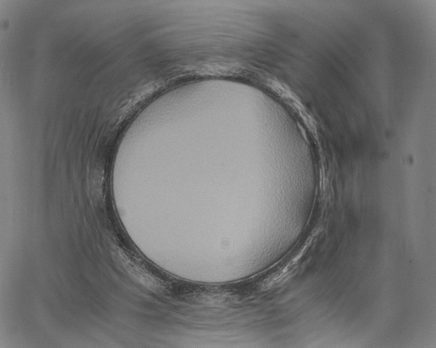 X0000062830201200602101520