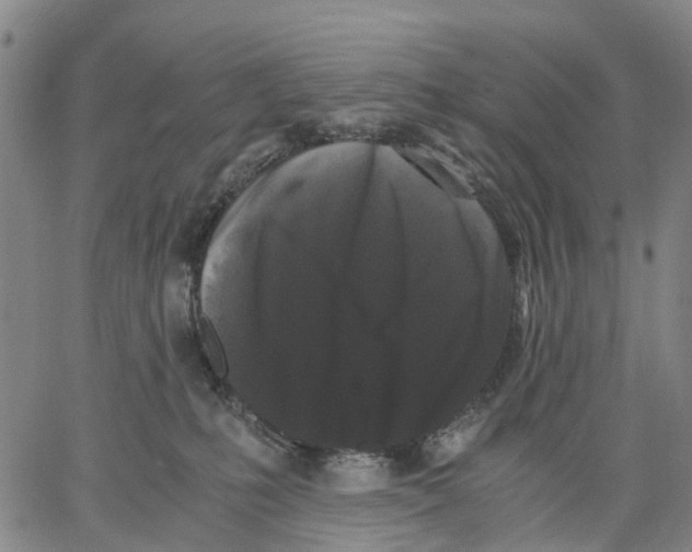X0000062830231200602101519