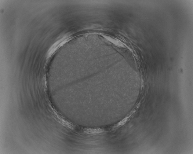 X0000062830245200602101519