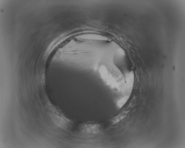 X0000062830247200602101519