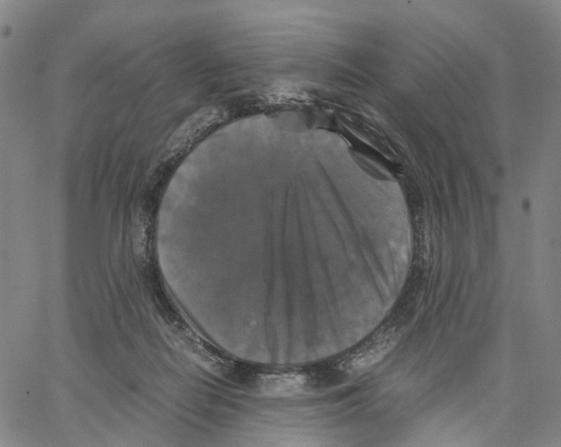 X0000062830266200602101519