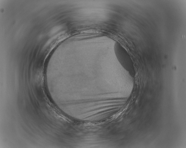 X0000062830290200602101518