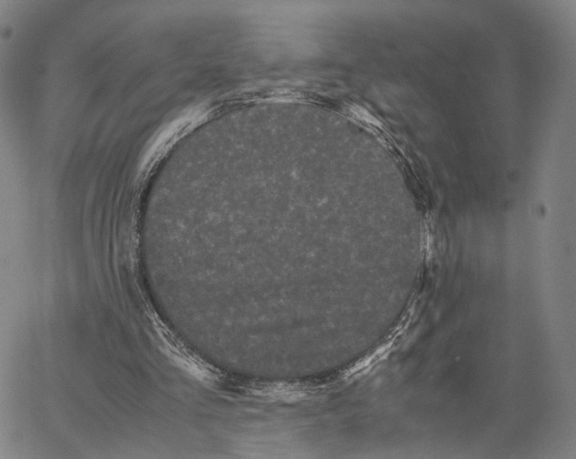 X0000062830293200602101518