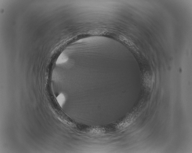 X0000062830303200602101518