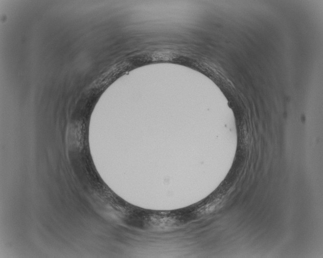 X0000062830311200602101518