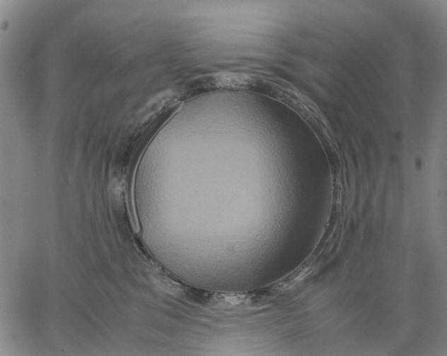 X0000062830329200602101518