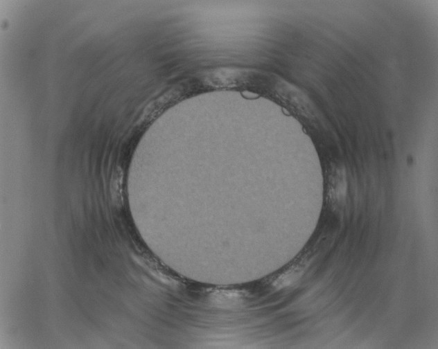 X0000062830332200602101518