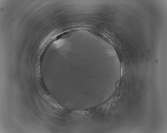 X0000062830339200602101517