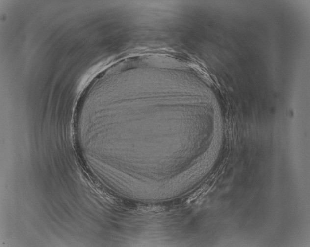 X0000062830340200602101517