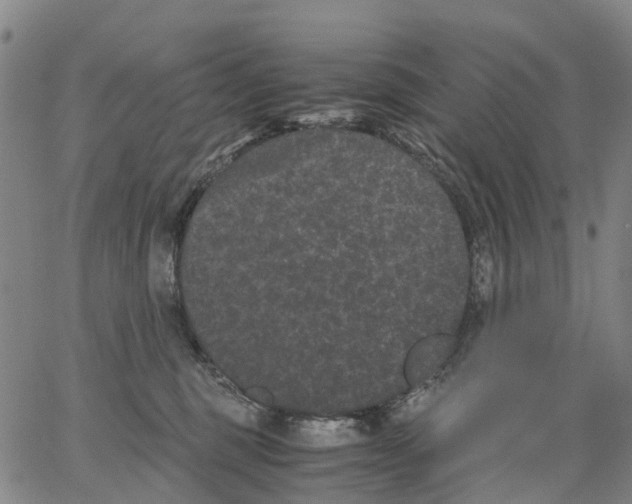 X0000062830375200602101518