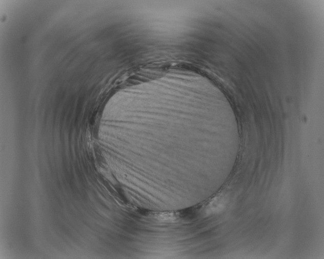 X0000062830384200602101518