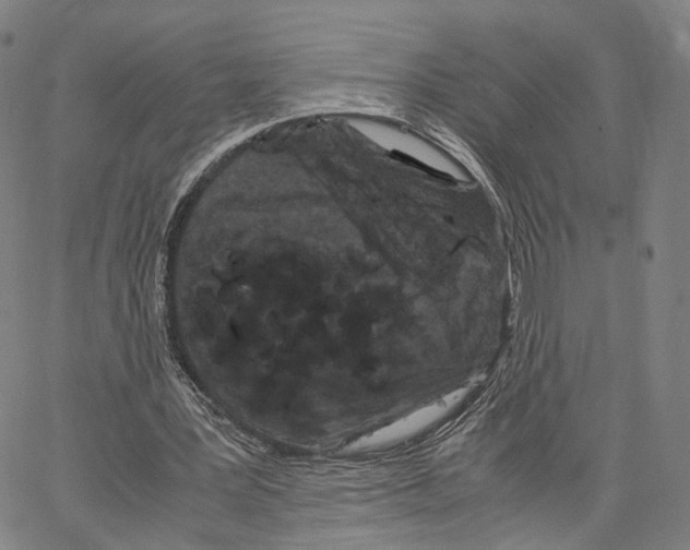 X0000062830387200602101517