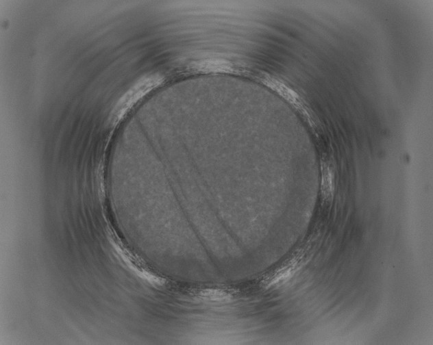 X0000062830390200602101517