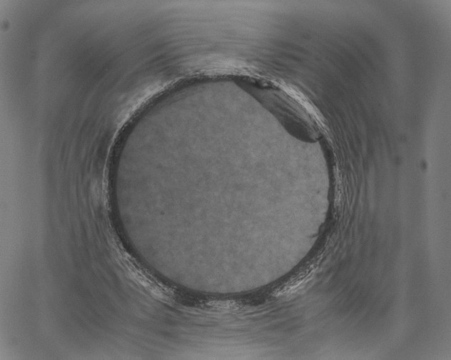 X0000062830391200602101517