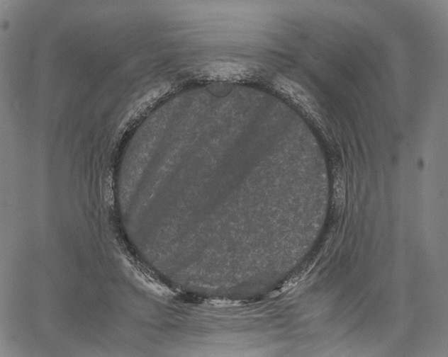 X0000062830403200602101517