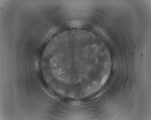 X0000062830408200602101517