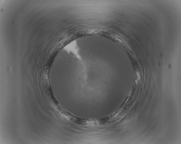 X0000062830415200602101516