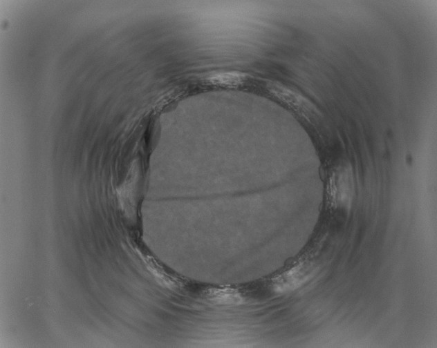 X0000062830424200602101516