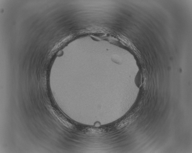 X0000062830442200602101516