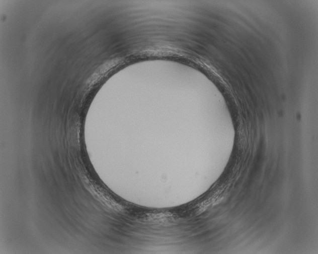 X0000062830446200602101516