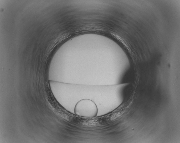 X0000062830451200602101516