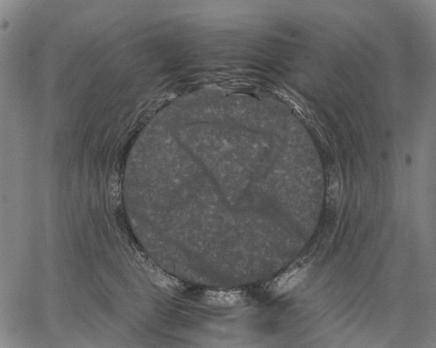 X0000062830469200602101516