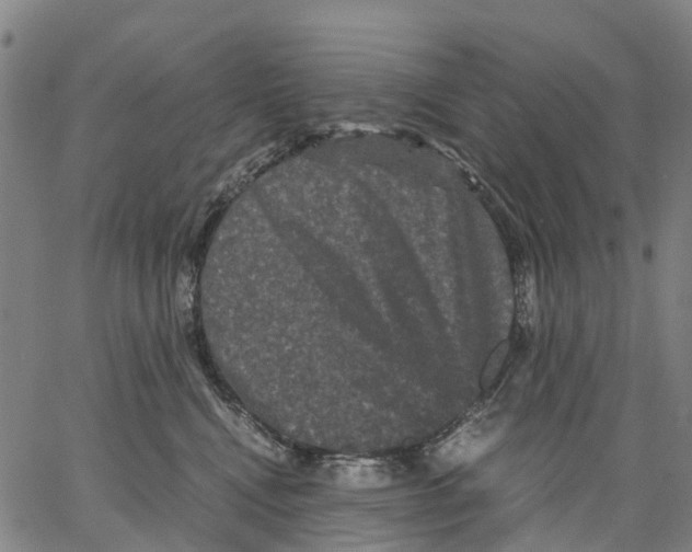 X0000062830472200602101516