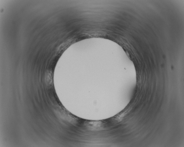 X0000062830478200602101516