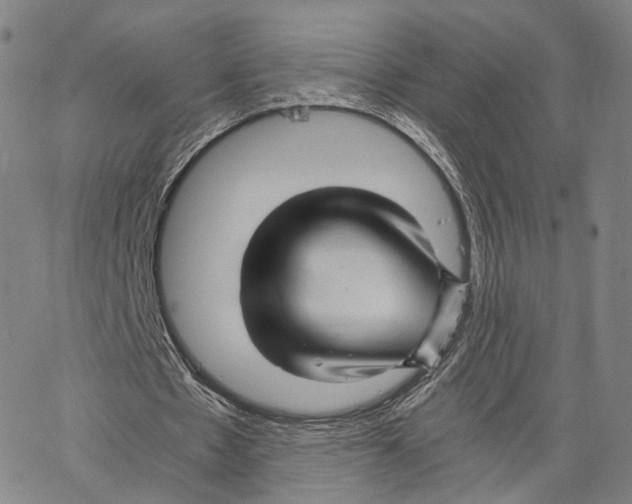 X0000062830481200602101515