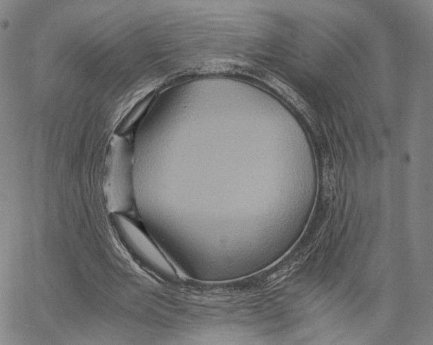 X0000062830485200602101515