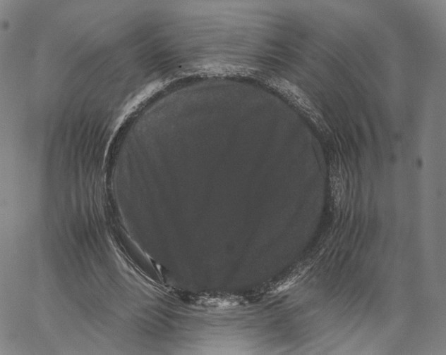 X0000062830488200602101515
