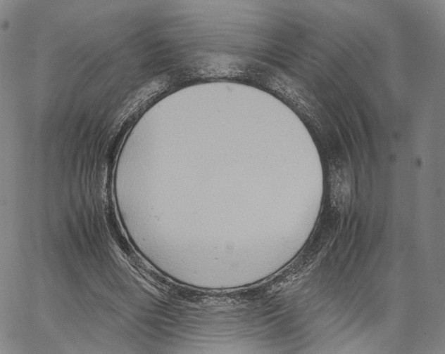 X0000062830490200602101515