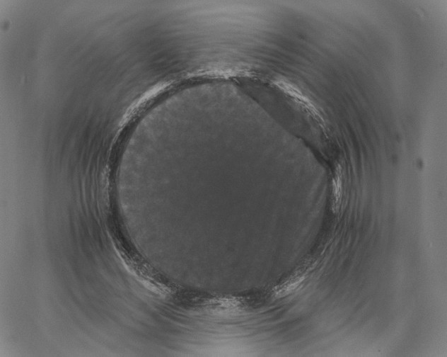 X0000062830492200602101515