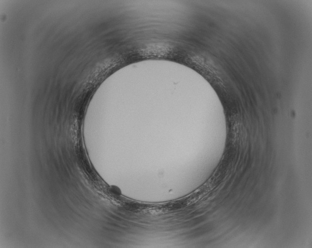 X0000062830498200602101515