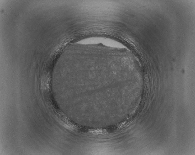 X0000062830499200602101515
