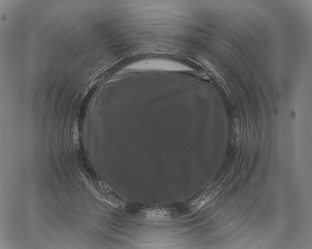 X0000062830500200602101515